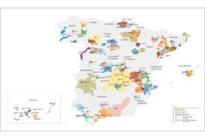 denominación de origen de vinos