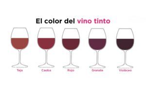 la couleur du vin rouge