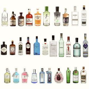 meilleures marques de gin