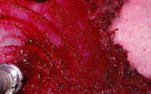 fermentación - tipos de vermentación del vino