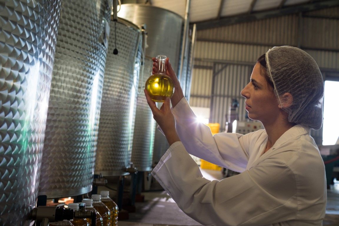 production huile d'olive
