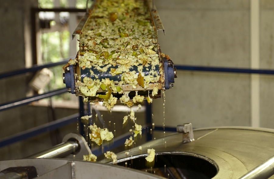 fabrication du cidre