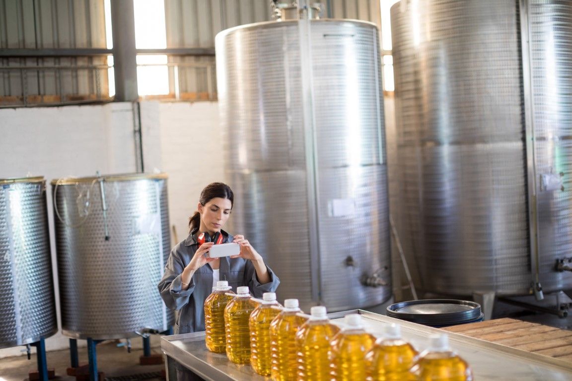 production huile d'olive