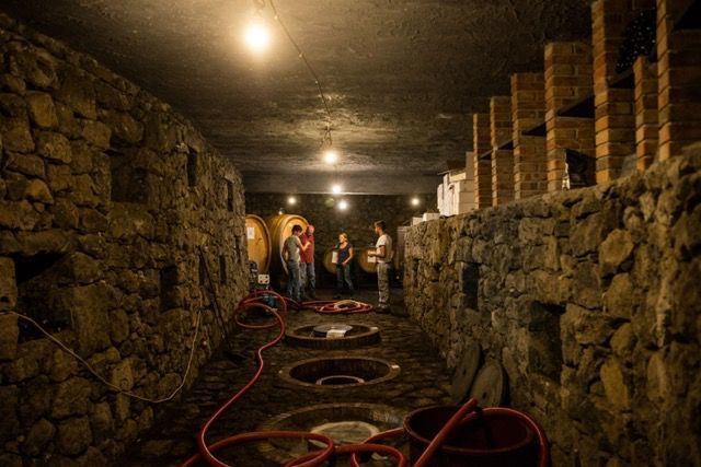 bodega hacer vino