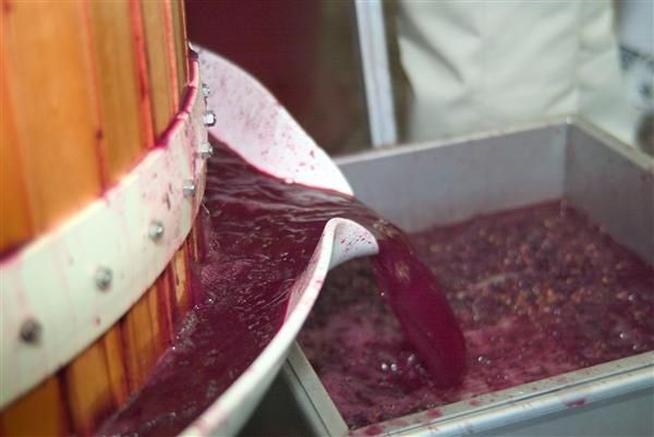 tipos de mosto