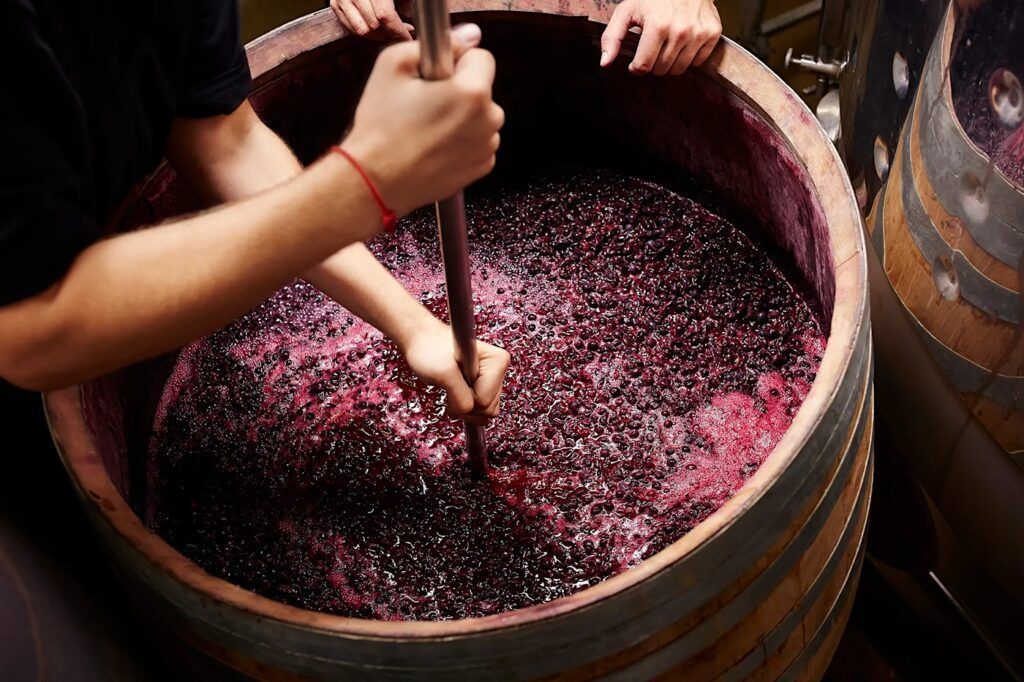 🍷 Comment faire du vin maison étape par étape pour les débutants