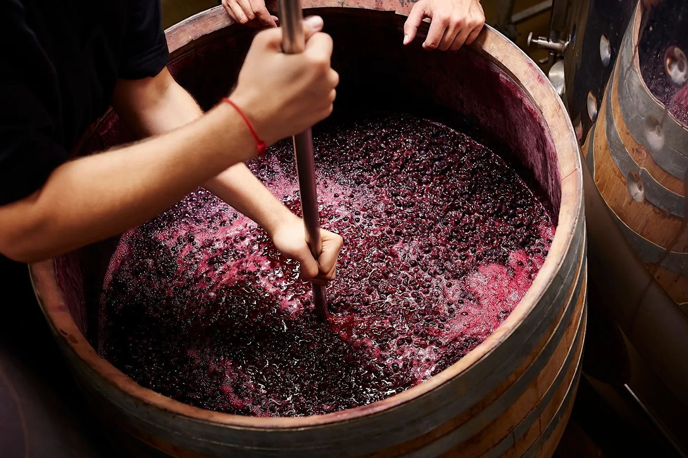 maceración en el proceso de hacer vino