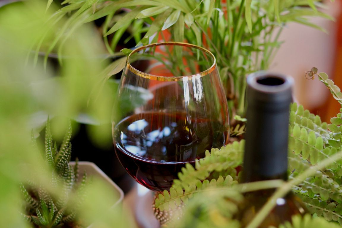cabernet sauvignon
