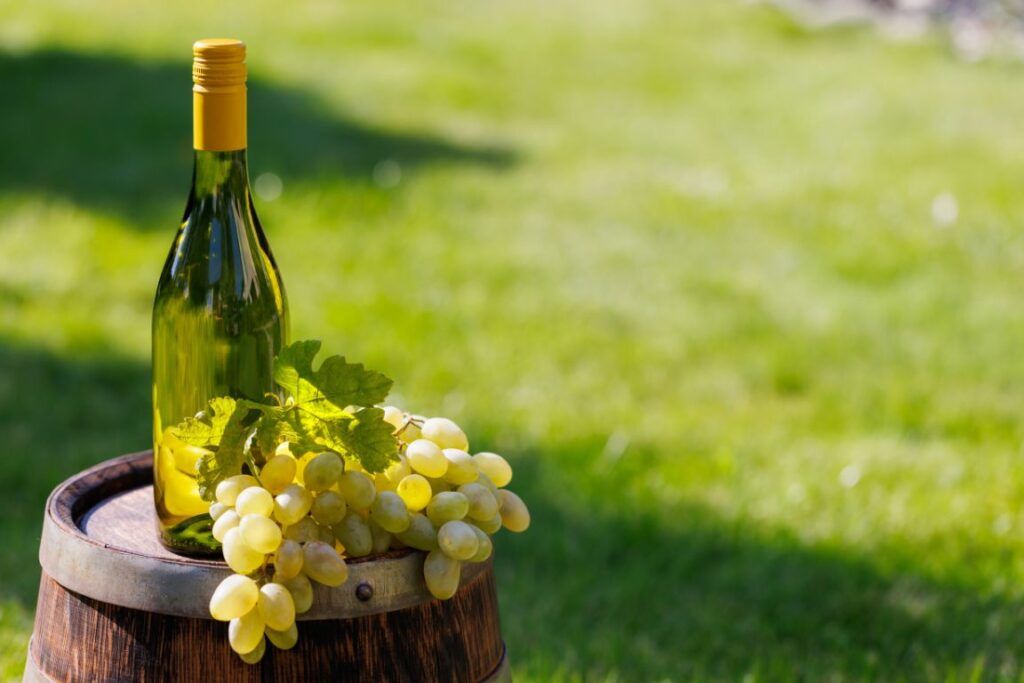chardonnay