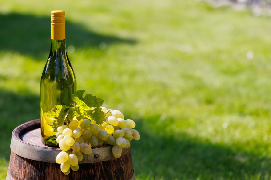chardonnay