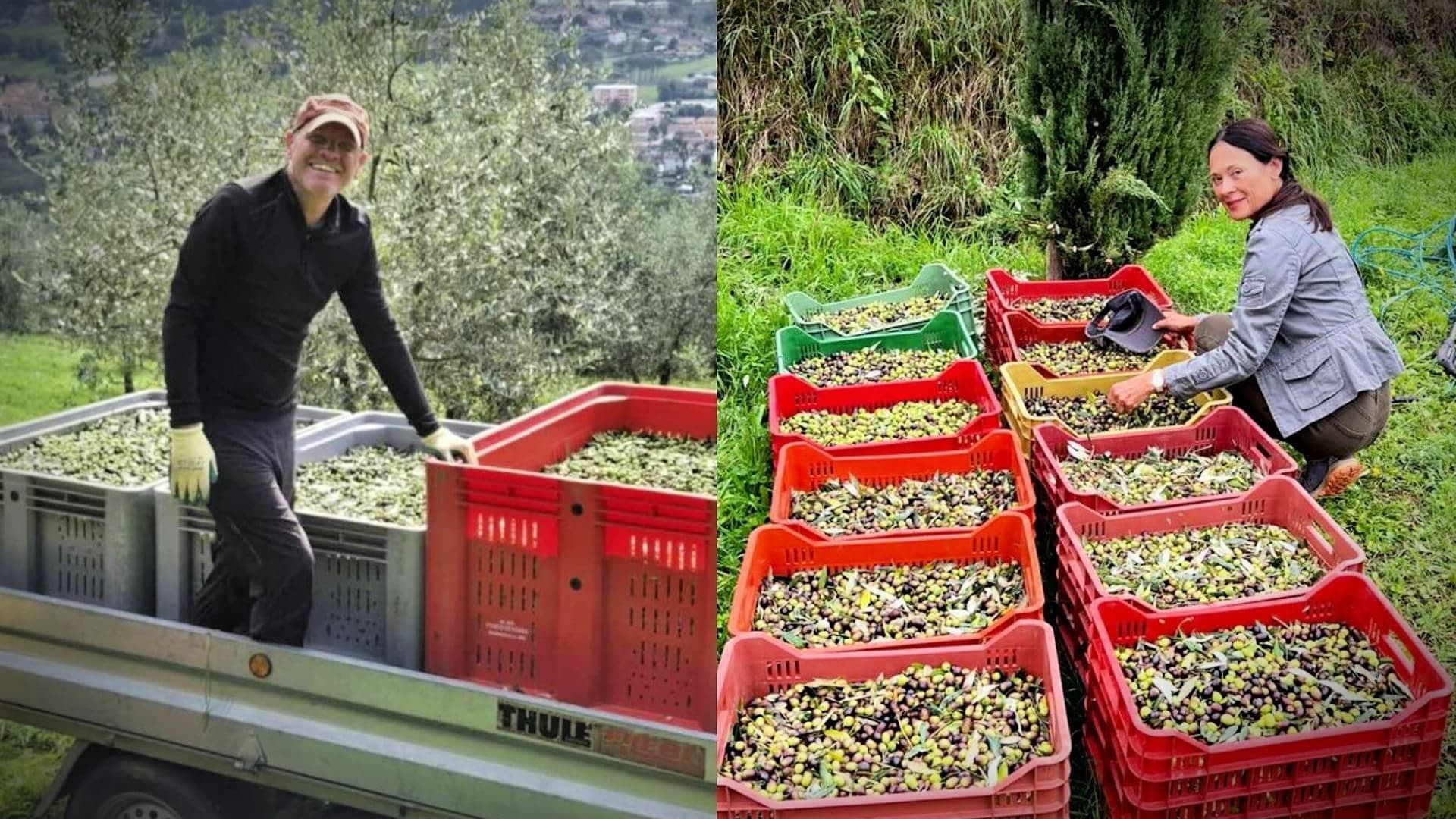 NYIOOC World Olive Oil Competition